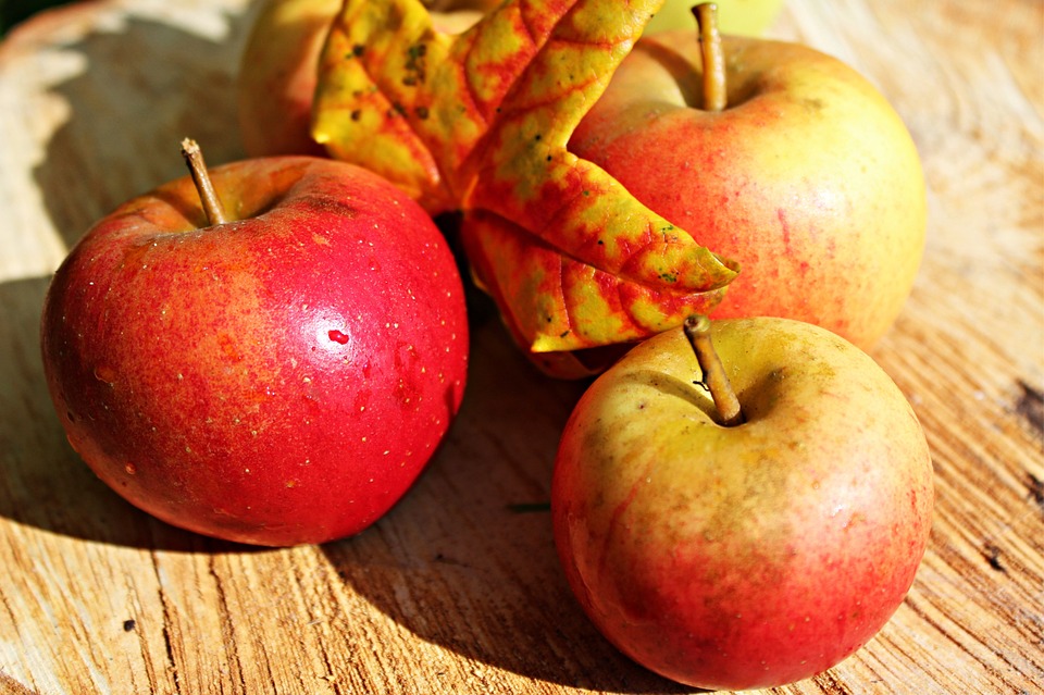 apples illness