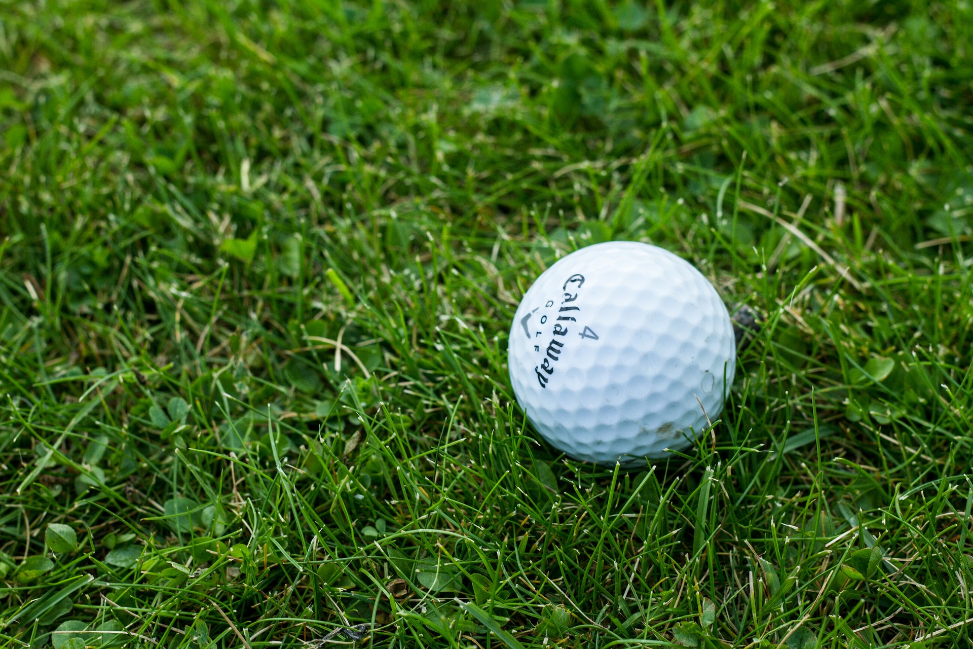 golf ball on green turf ground