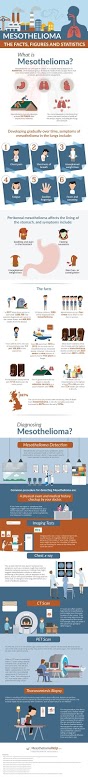 Mesothelioma: the Facts, Figures, and Statistics Infographic
