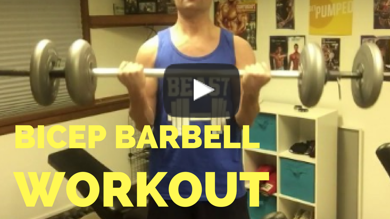 bicep barbell workout youtube video