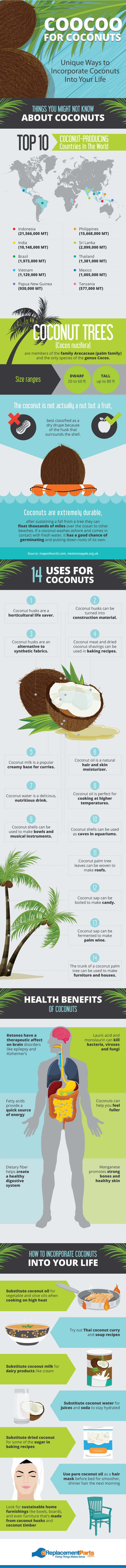 Unique Ways to Incorporate Coconuts into Your Life Infographic