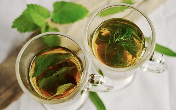 Green tea – Magic things that it can provide for your health