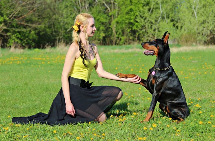 5 Ways to Benefit From DOGA—Yoga with Dog