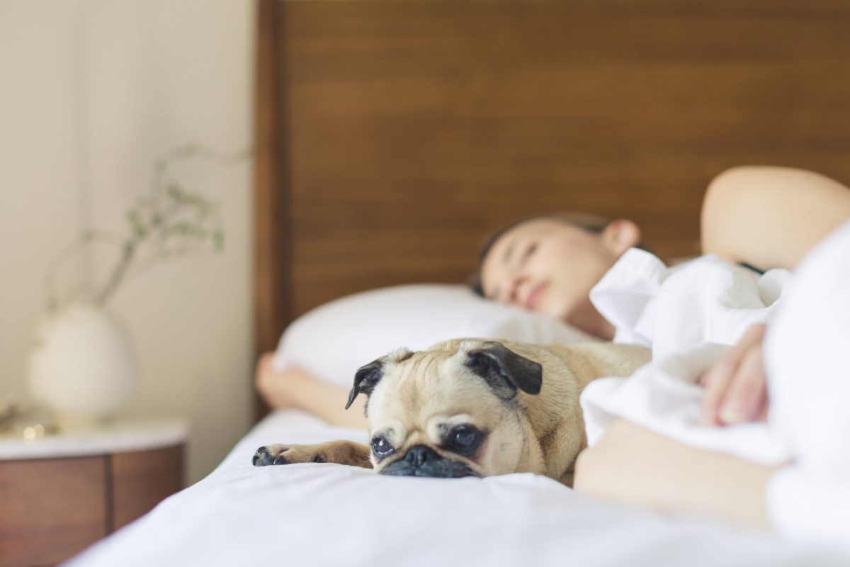 Top 6 Self Help Strategies to Say Bye Bye to Snoring