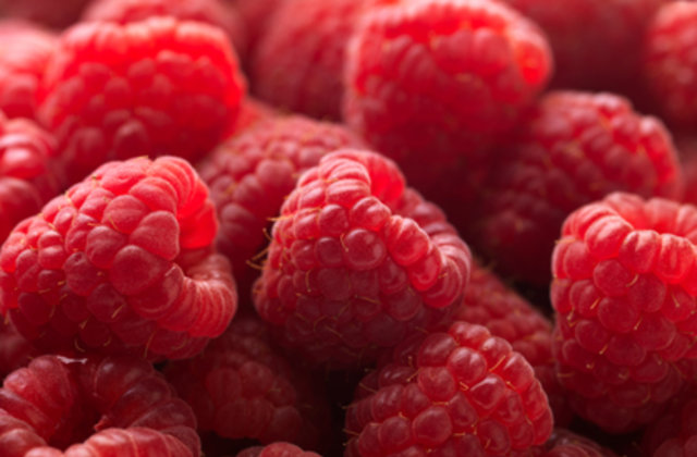 These Are the Berries You Should Eat If You Desire a Better Health