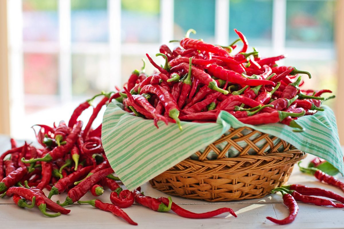 5 Key Health Benefits of Using Cayenne Pepper