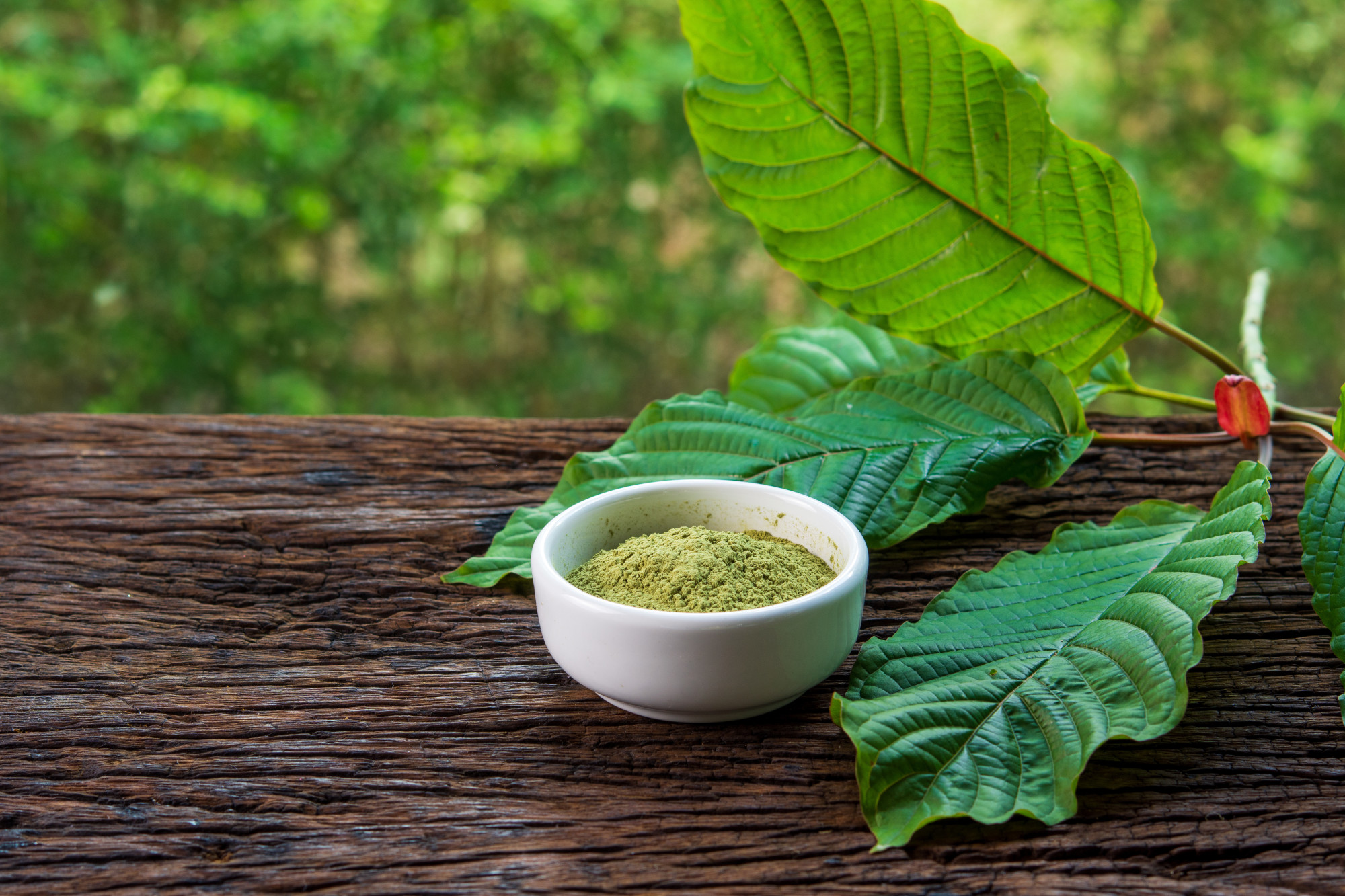 How to Take Kratom The Right Way: 5 Easy Methods