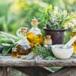 What Are Some of the Best Herbs for the Immune System?