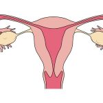 Ectopic Pregnancy Symptoms, Causes, and Treatment To Know About