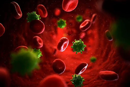 How HIV Attacks Your Body